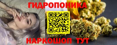 jwh Новокубанск