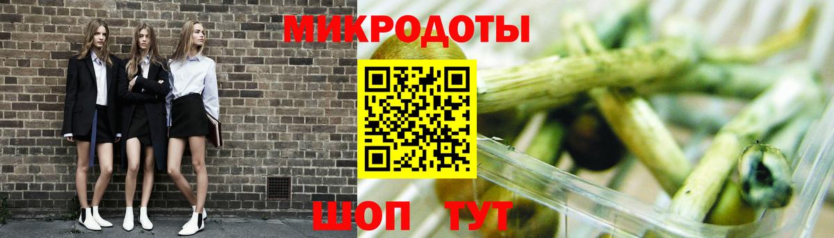 Псилоцибиновые грибы мицелий Таганрог